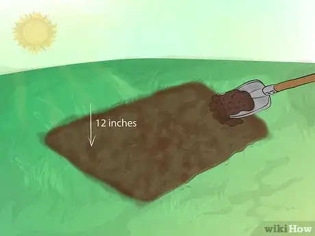 Image titled Grow Gladiolus Step 4