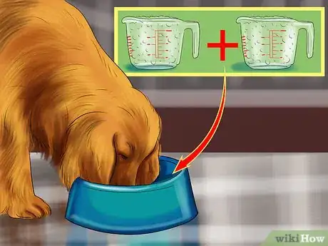 Image titled Care for an Irish Setter Step 6