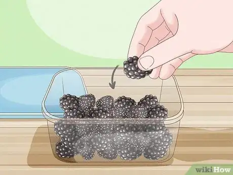 Image titled Harvest Blackberries Step 9