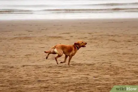 Image titled Be a Beautiful Person Step 4