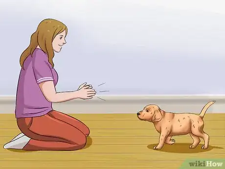 Image titled Select a Labrador Retriever Step 2