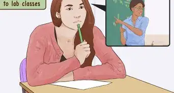 Study the Physiology of Digestion in the Human Body