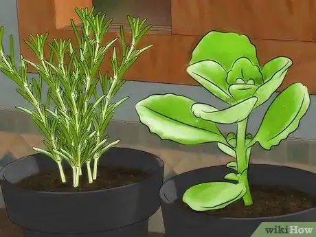 Image titled Grow an Indoor Herb Garden Step 15