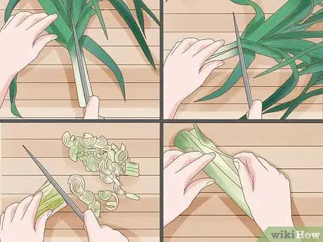 Image titled Harvest Leeks Step 11