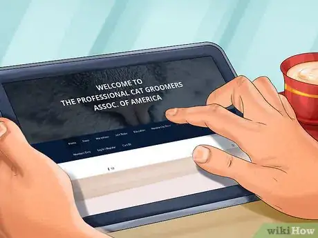 Image titled Find a Professional Cat Groomer Step 5