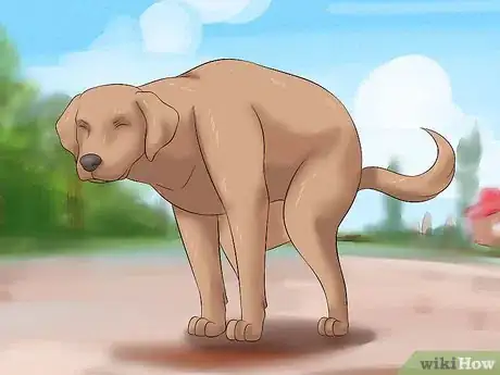 Image titled Tame a Dog Step 15