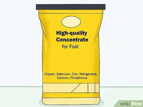 Image titled Prevent OCD in Horses Step 4