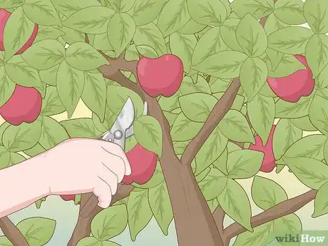 Image titled Pollinate Fruit Trees Step 16