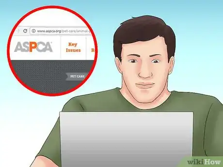 Image titled Avoid Poisoning Your Horse Step 7