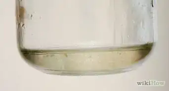 Test the Pectin Content of Fruit