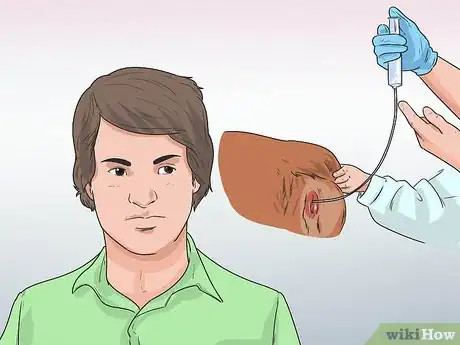 Image titled Artificially Inseminate a Dog Step 1