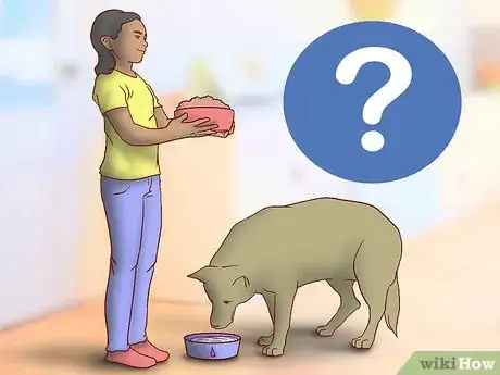 Image titled Evaluate Your Reasons for Wanting a Dog Step 4