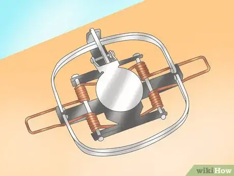 Image titled Trap Raccoons Step 3