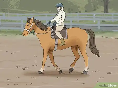 Image titled Ride a Horse With No Stirrups Step 5