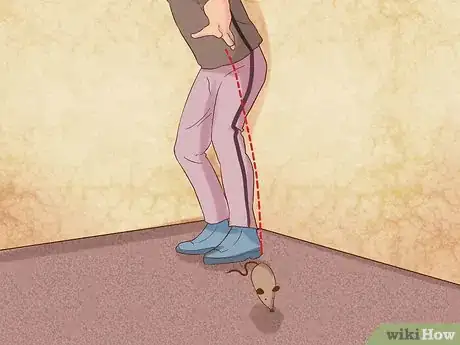 Image titled Train Your Cat to Fetch a Toy Mouse Step 6