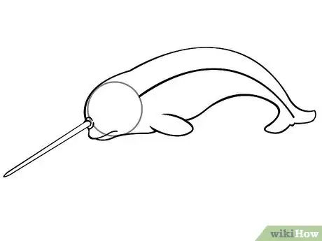Image titled Draw a Narwhal Step 3