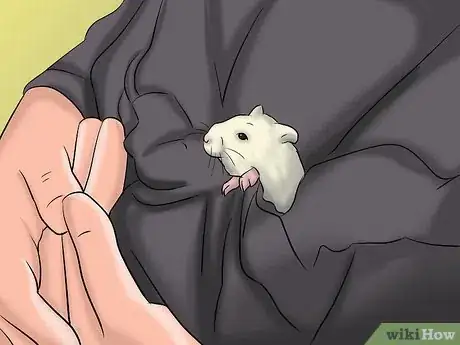 Image titled Have a Good Time With Your Hamster Step 3