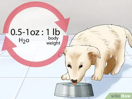 Image titled Check the Health of a New Dog Step 11