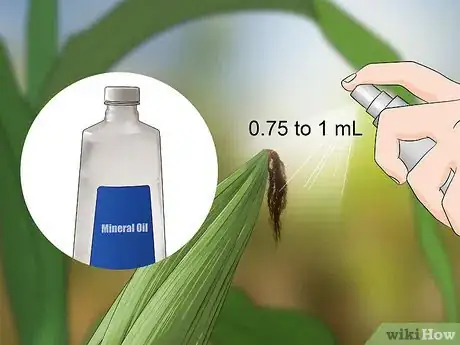Image titled Control Corn Ear Worms Step 9