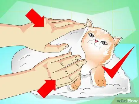 Image titled Give a Kitten a Bath Step 14