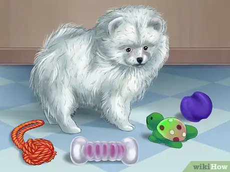 Image titled Rotate Your Dog's Toys Step 1