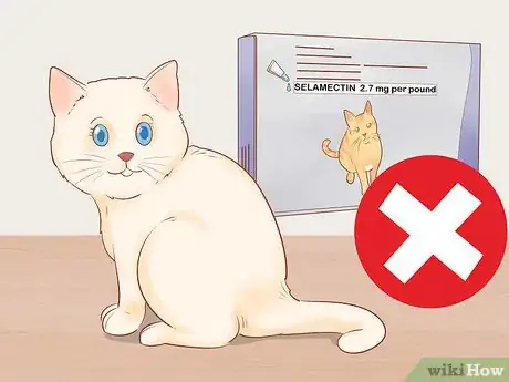 Image titled Give Selamectin to Cats with Parasites Step 9