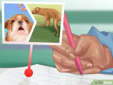 Image titled Choose the Right Care for Your Dog While on Vacation Step 8
