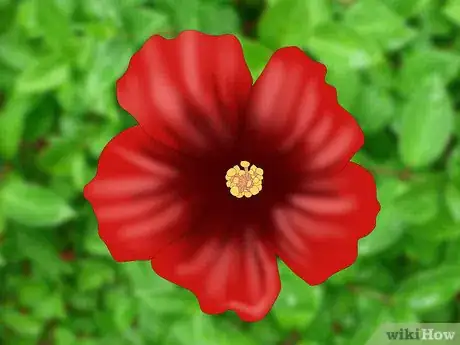 Image titled Choose Edible Flowers Step 5