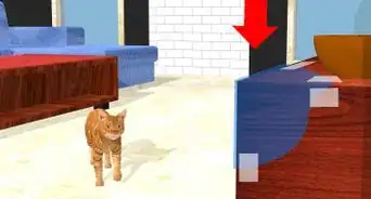 Solve Cat Book and Furniture Chewing