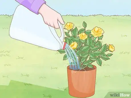 Image titled Reuse Milk Jugs in the Garden Step 1