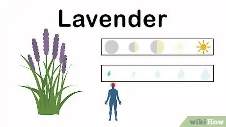 Image titled Grow an Herbal Tea Garden Step 6