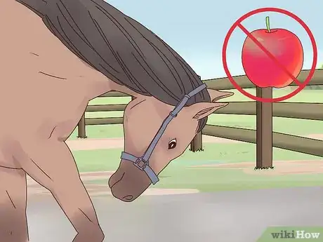 Image titled Teach a Horse to Bow Properly Step 14