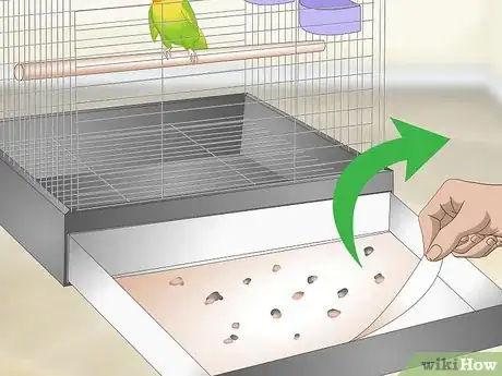Image titled Clean and Maintain a Lovebird Habitat Step 2