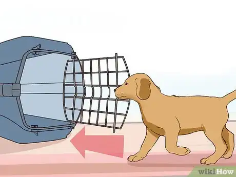 Image titled Introduce a Puppy to a Senior Dog Step 15