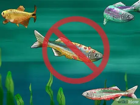 Image titled Choose Fish for a Freshwater Aquarium Step 9