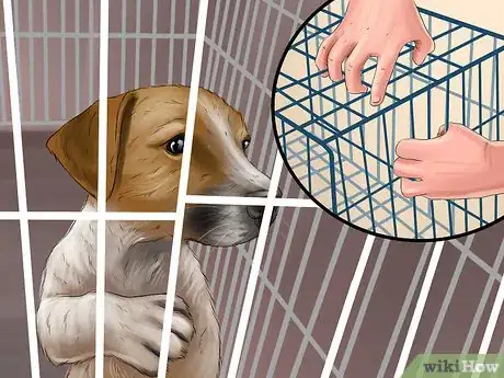 Image titled Introduce Training to a New Puppy Step 10