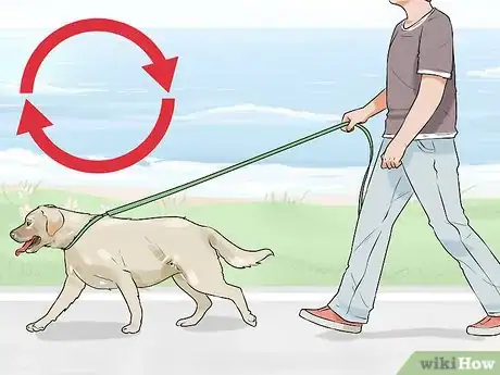 Image titled Treat Metabolic Disease in Older Dogs Step 9