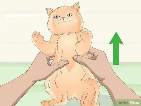 Image titled Keep Your Cat Clean Step 10