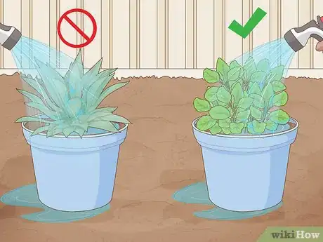 Image titled Grow a Garden Step 10