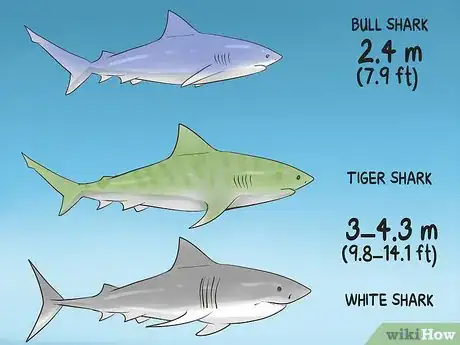 Image titled Identify Dangerous Marine Animals in Australian Waters Step 7