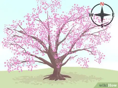 Image titled Choose Plants for Good Feng Shui Step 1