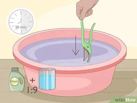 Image titled Prune Hollyhocks Step 12