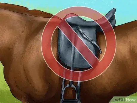 Image titled Spot Ulcer Symptoms in Horses Step 8