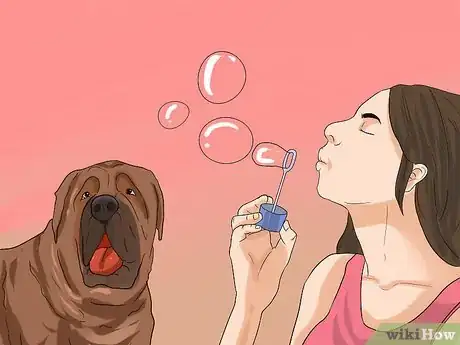 Image titled Have Fun with Your Dog Outdoors Step 10