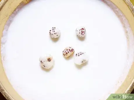 Image titled Eat Tiger Nuts Step 3