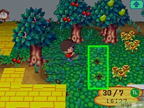 Image titled Get Red Turnips in Animal Crossing Step 6