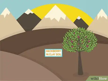 Image titled Plant in Poor Soils Step 10