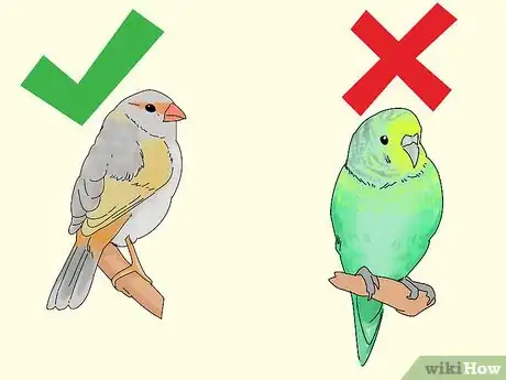 Image titled Choose a Finch Step 6