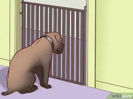 Image titled Keep Your Dog Safe on Halloween Step 11