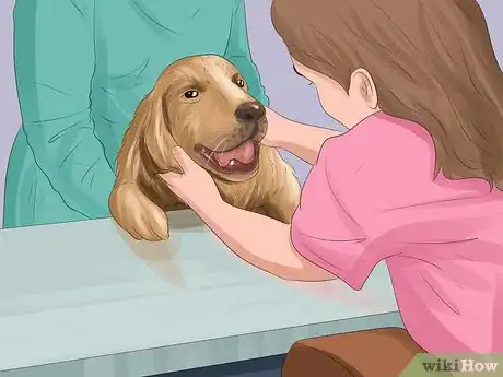 Image titled Have a Successful Visit to the Vet Step 8